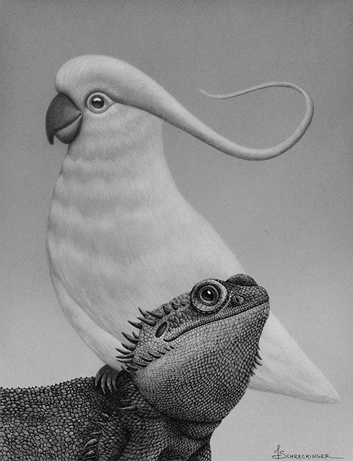Juliet Schreckinger "Barb the Bearded Dragon and Her Cockatoo Friend"