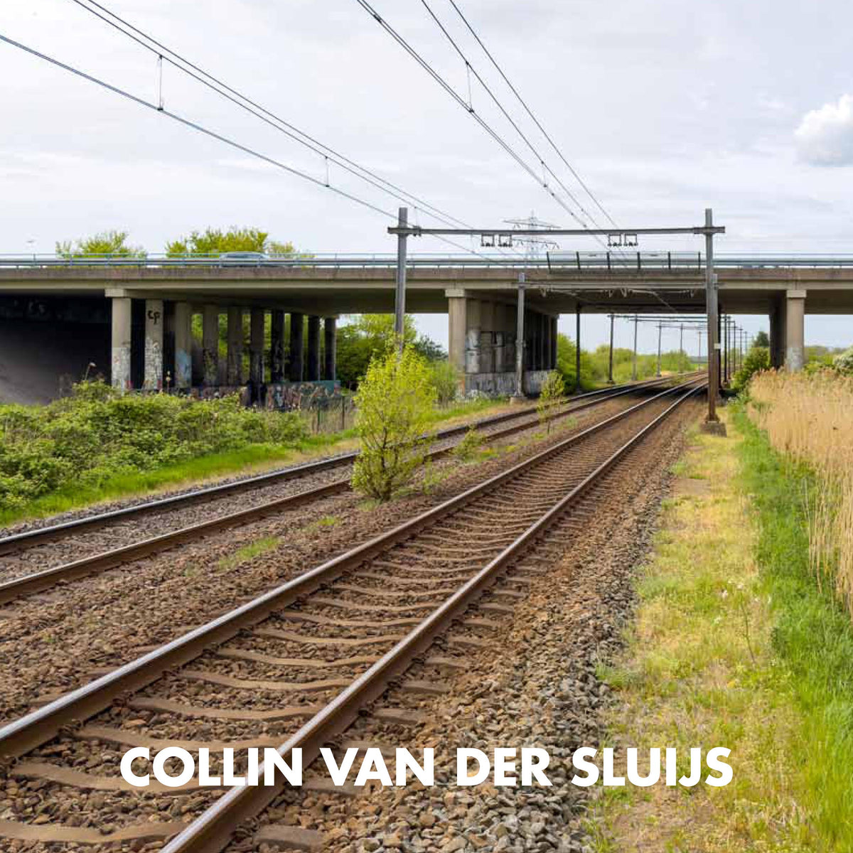 Collin van der Sluijs 