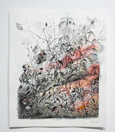 Collin van der Sluijs "Impressions of Nature"