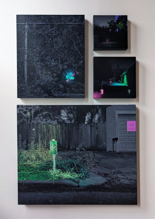 Jennifer Cronin "This New World Still Has Color"