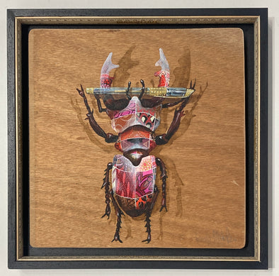 Louis (Masai) Michel "BUGGIN OUT WITH A STAG BEETLE"