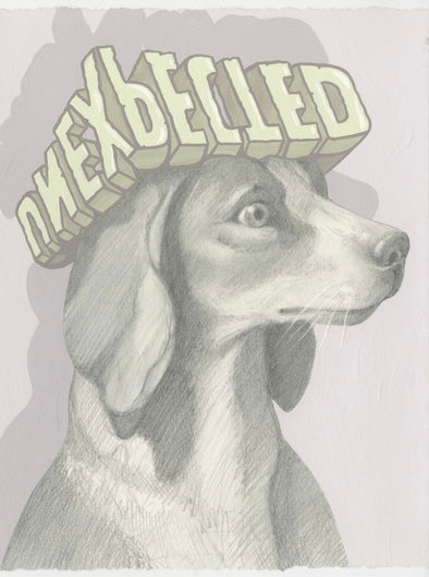 Steve Seeley "Dog w/ Unexpected Hat"