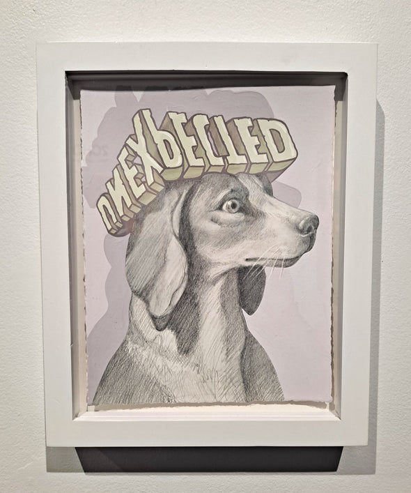 Steve Seeley "Dog w/ Unexpected Hat"