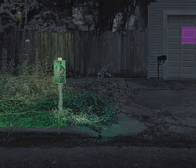 Jennifer Cronin "This New World Still Has Color"