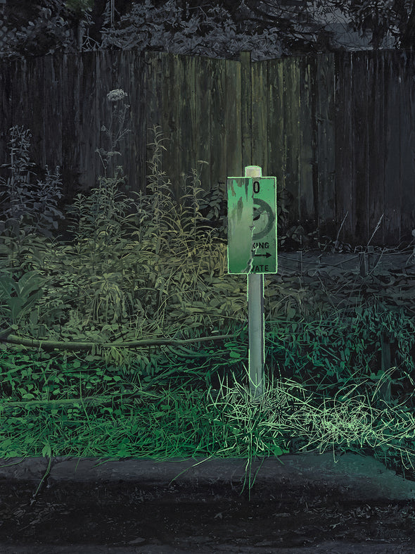 Jennifer Cronin "This New World Still Has Color"