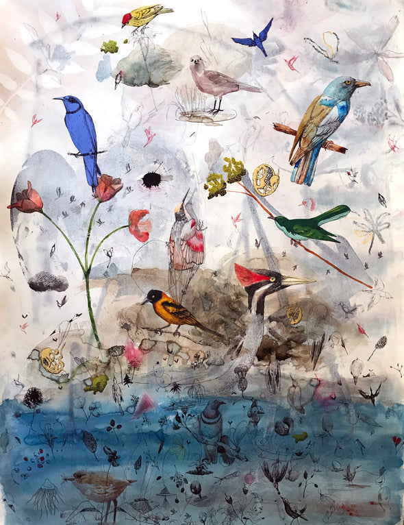 Collin van der Sluijs "Birdstudy"