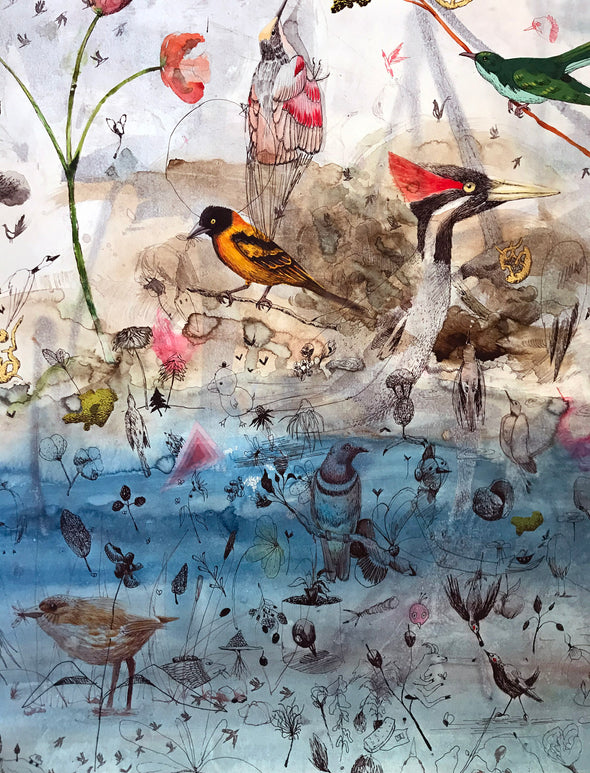 Collin van der Sluijs "Birdstudy"