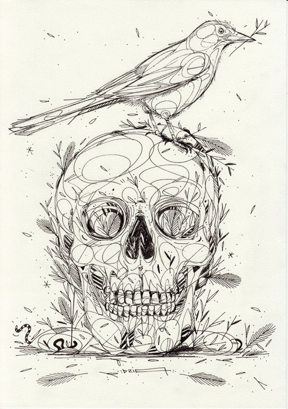 DZIA "Bird Skull"