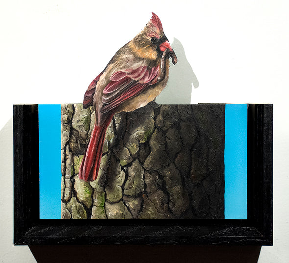 Joseph Renda Jr. "Early Bird Gets the Tree"