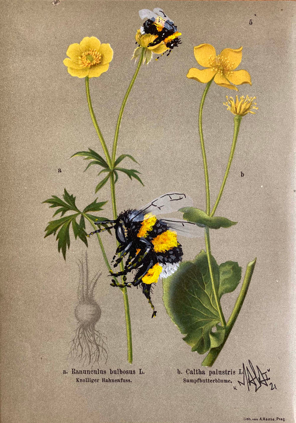 Louis Masai "Bee prepared for spring blooms (9)"