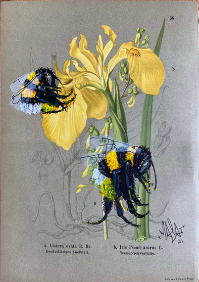 Louis Masai "Bee prepared for spring blooms (4)"