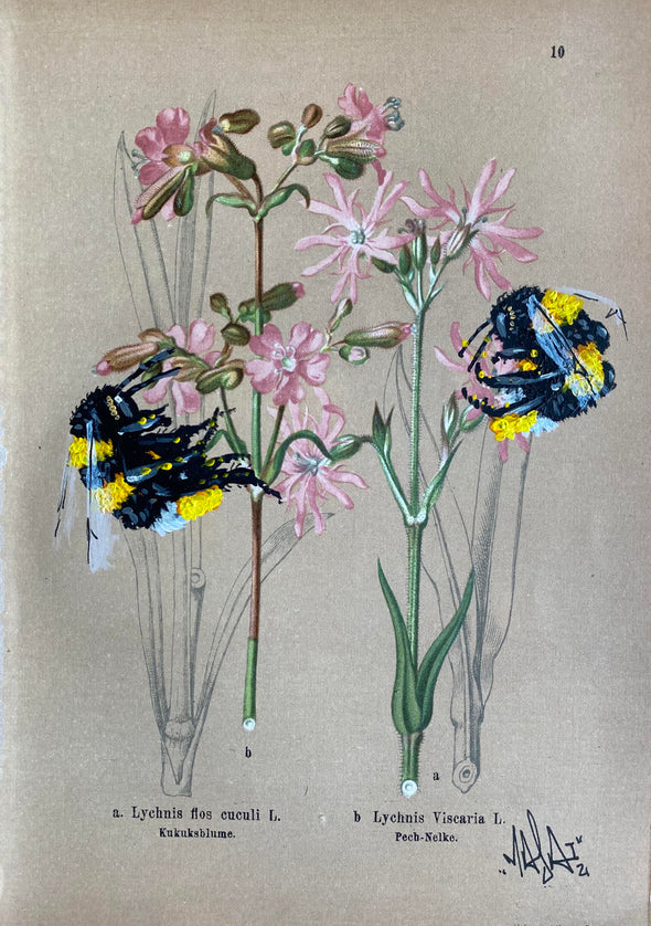 Louis Masai "Bee prepared for spring blooms (10)"
