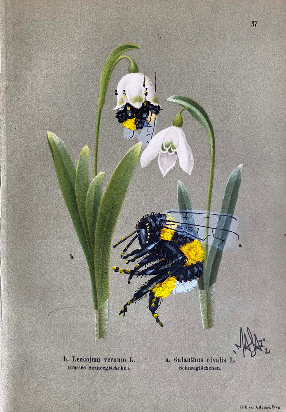 Louis Masai "Bee prepared for spring blooms (2)"