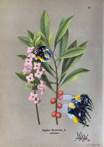 Louis Masai "Bee prepared for spring blooms (5)"