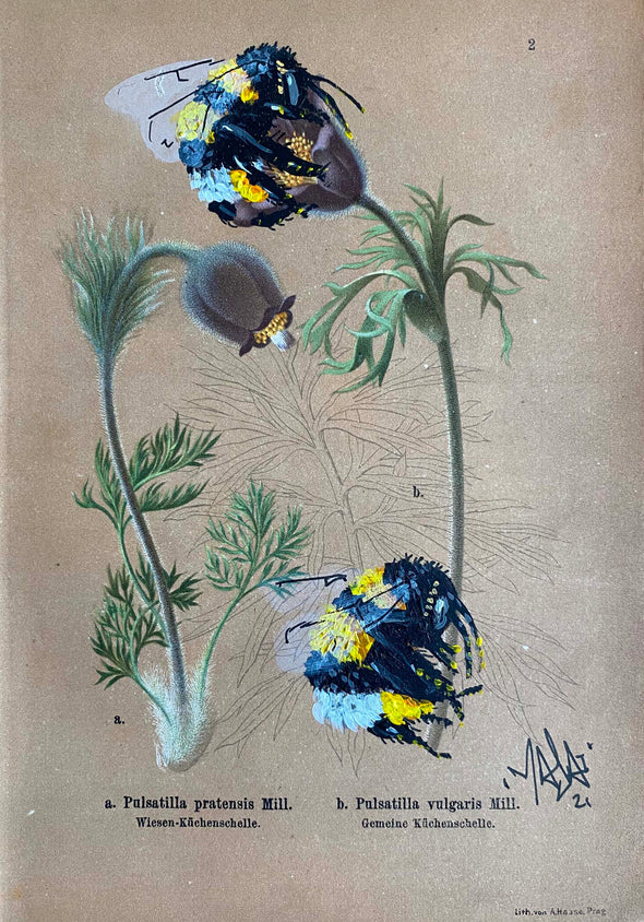 Louis Masai "Bee prepared for spring blooms (8)"