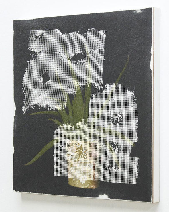 Daniel Hojnacki "Window Plant in Black" -------- -------- 